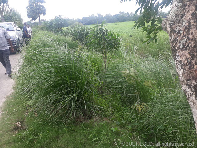 (1) Naria, Sariaytpur May 2018