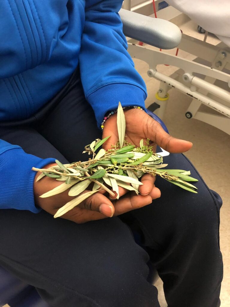 Hospital visit with olive leaves